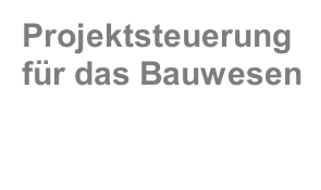 Projektsteuerung für das Bauwesen